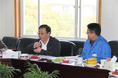 2013年3月18日，时任国家工信部节能司副司长杨铁生一行莅临公司参观指导