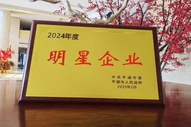 新春新景新气象 | 888集团纸业在平湖三干大会上喜摘荣誉！